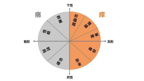 網(wǎng)紅產(chǎn)品的前提 滿足用戶虛擬自我的實(shí)現(xiàn)能力